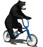 bear-riding-bicycle.gif