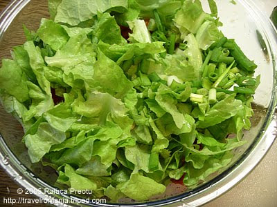 lettuce_salad_1.jpg