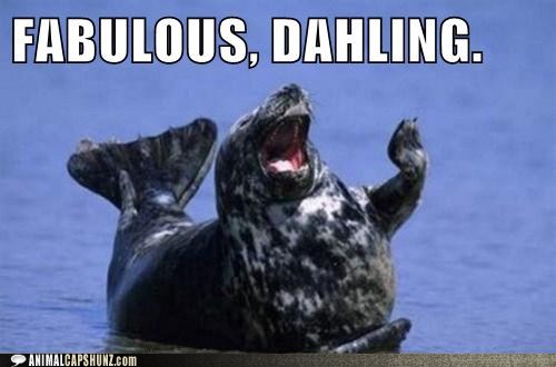 d3052_funny-animal-captions-fabulous-dahling.jpg