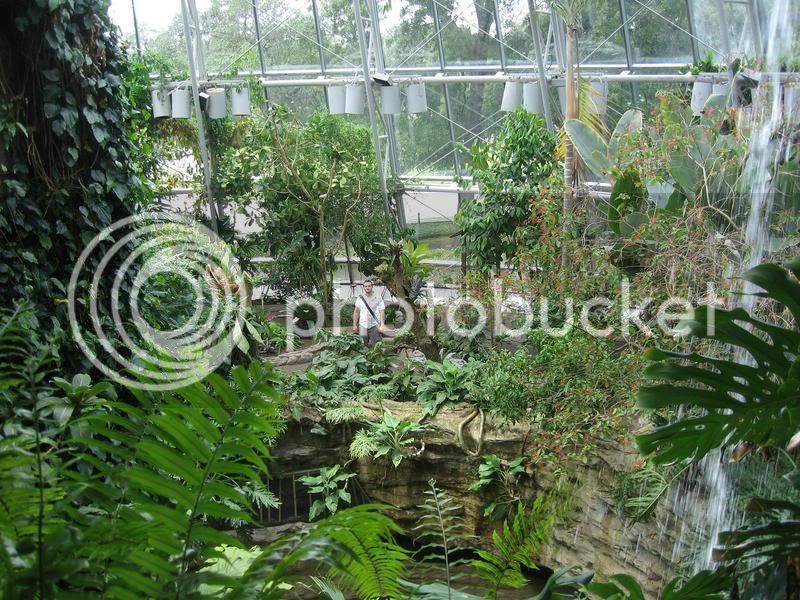 exhibit10c-butterflycenter.jpg