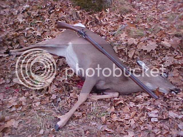 06DEER2.jpg