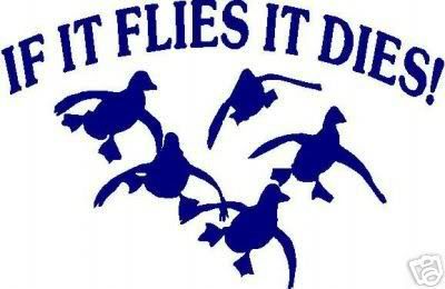 flies_it_dies.jpg