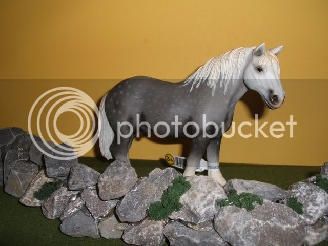 newbiesaug21perchstallion640x480.jpg