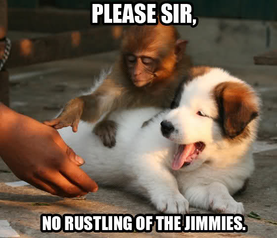 Please+Sir+Jimmies.jpg