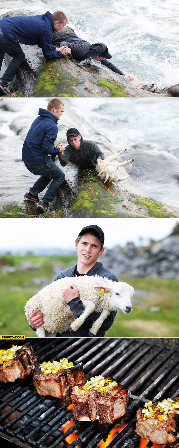 real-hero-saves-a-sheep.jpg