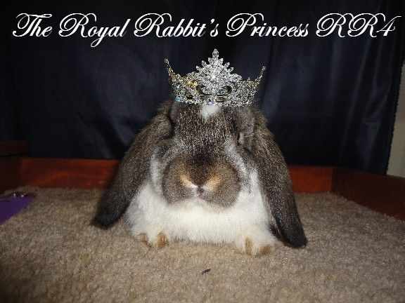 TheRoyalRabbitsPrincessRR4withcrownface_zps06f7f5b3.jpg