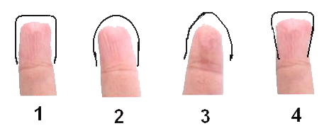 finger-tip-shapes.gif