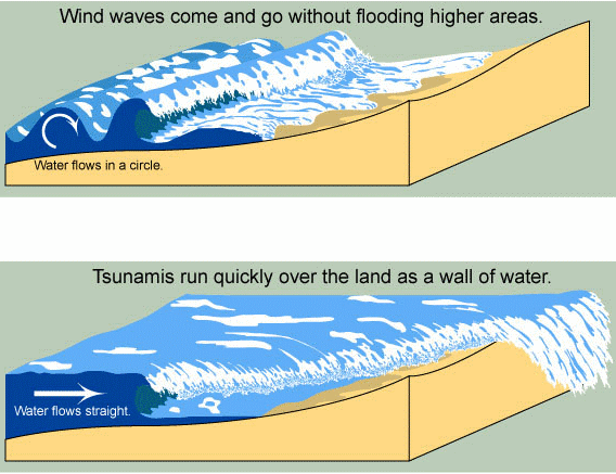 tsunami1.gif