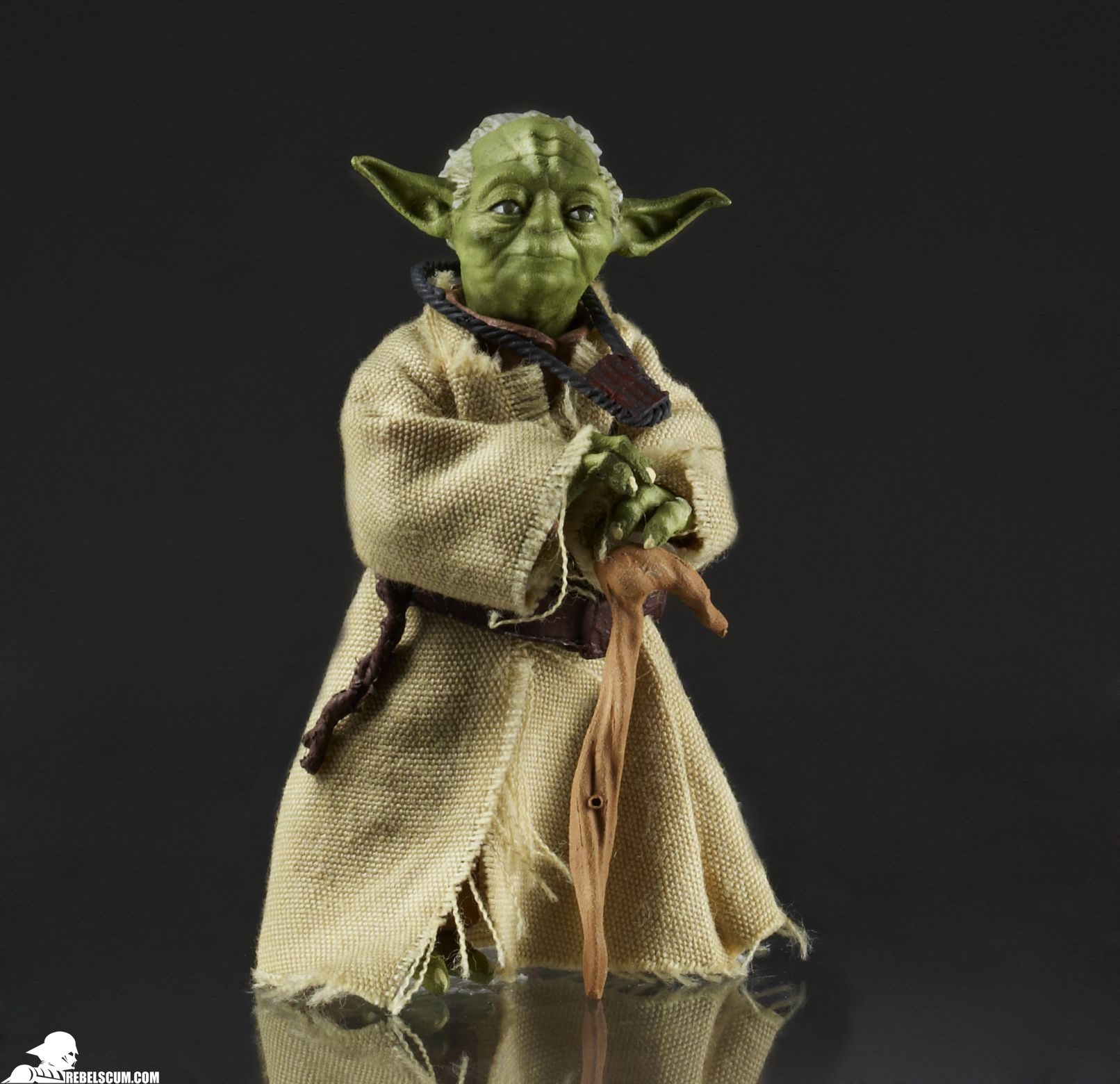High-Resolution-Hasbro-Black-Series-Yoda-Luke-Skywalker-Jedi-Training-01.jpg