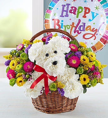 a-dog-able-in-a-basket-birthday-birthday-basket-59f788972ffd5.365.jpg