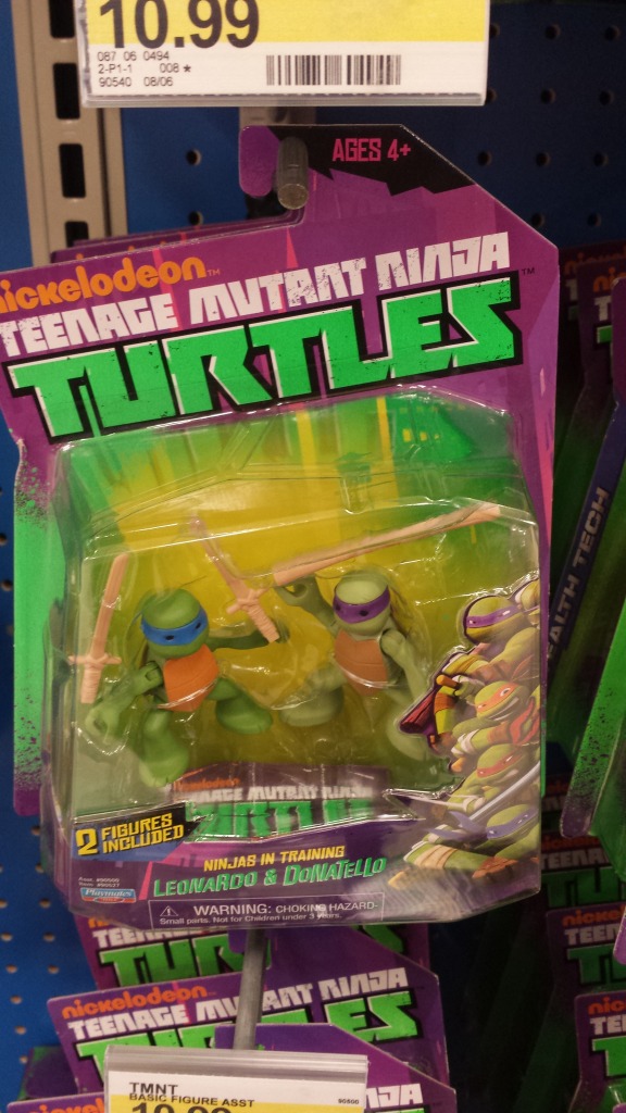 TMNT-Ninjas-in-Training-1.jpg