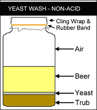 yeast_wash2.gif