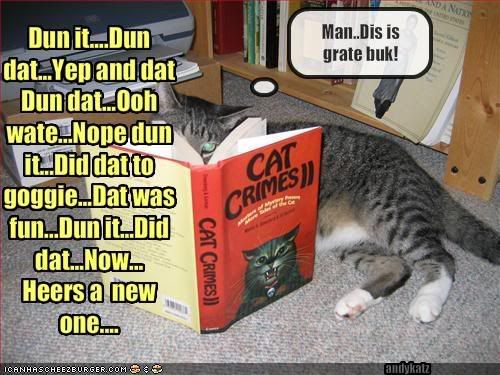 funny-pictures-cat-reads-a-book-abo.jpg