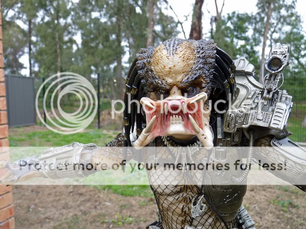 Predator1.jpg