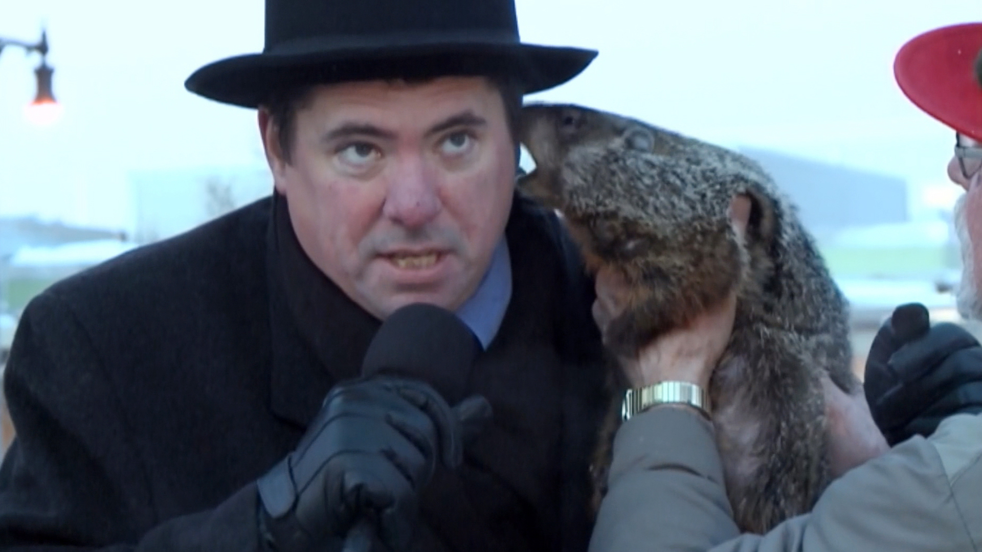 f_ots_groundhog_bite4_150202.jpg