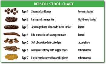 350px-Bristol_stool_chart.svg.png