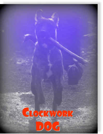 clockworkdog1.jpg