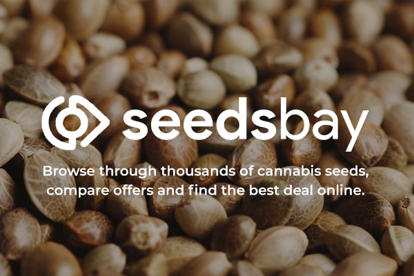 seedsbay.com
