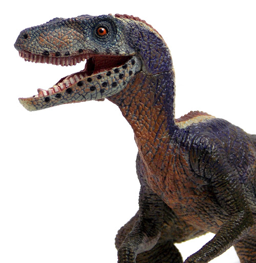 PAPO%252520TYRANNOSAURUS%252520%252526%252520VELOCIRAPTOR%252520EXCLUSIVE%252520257.JPG