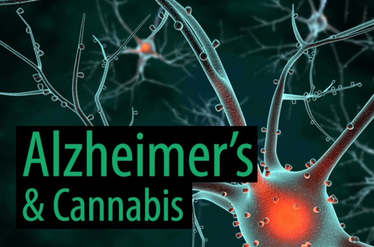 Could-Cannabis-Help-Alzheimer_s-Patients.png