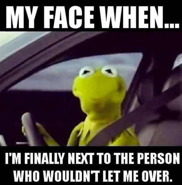 Kermit.funny_.meme_.car_.jpg