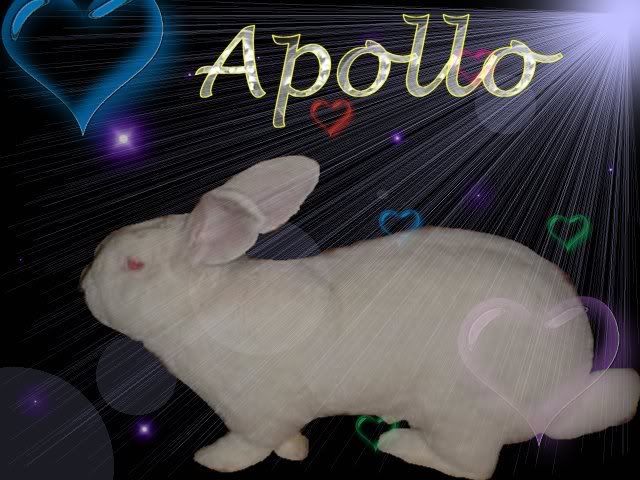 finalapollo.jpg