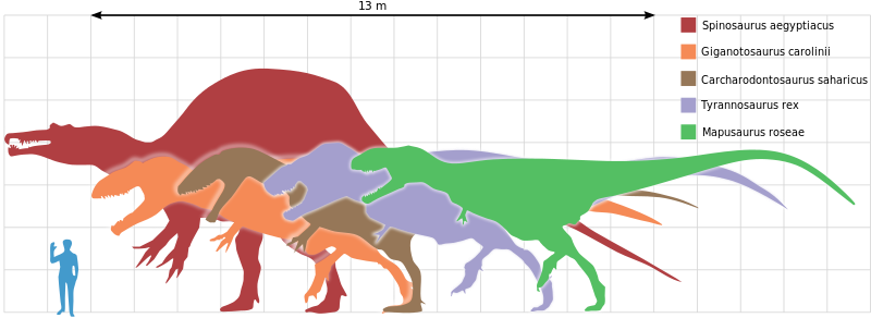 800px-Largesttheropods.svg.png