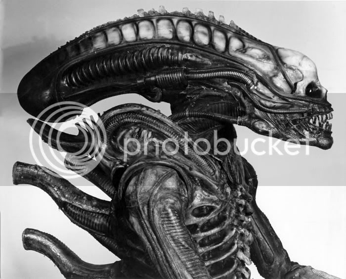 01063_Alien_Sibthorp-3.jpg