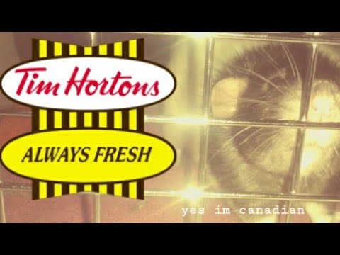 🐀♥️Poe the Very Fat Rat Eating Timbits Cereal - YouTube