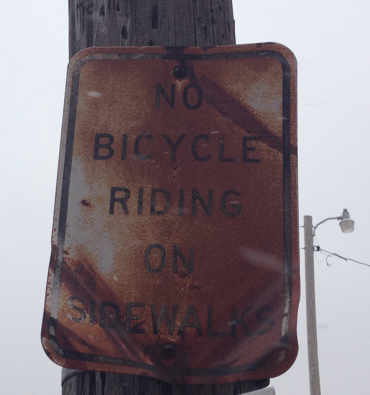 no+riding+rat+sign.jpg