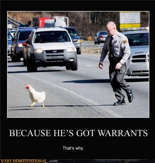 chickenwarrants.jpg