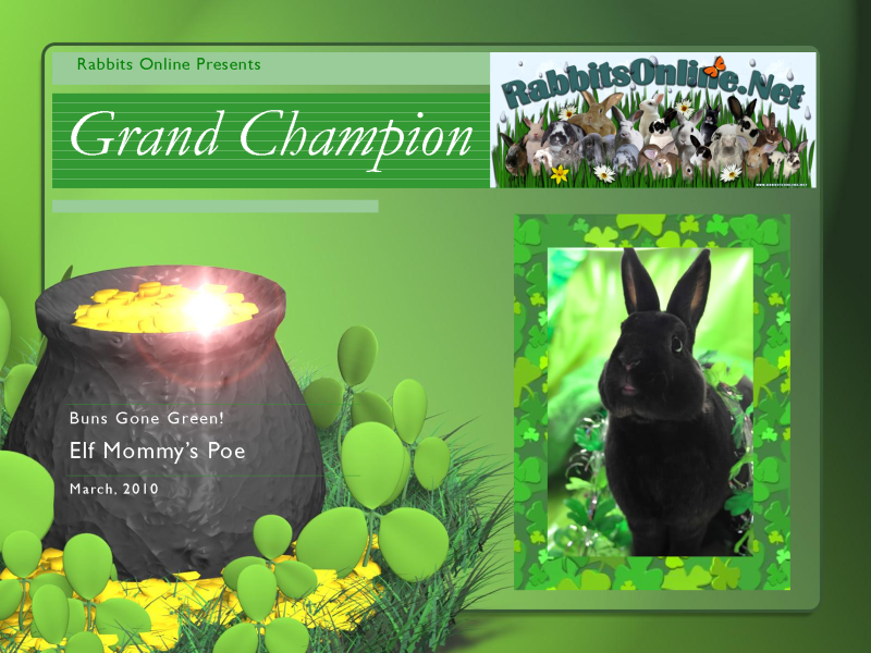 grandchampion-4.png