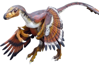 bambiraptor.png