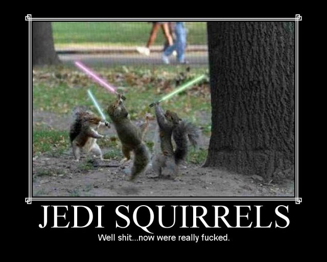 03-jedi-squirrels.jpg