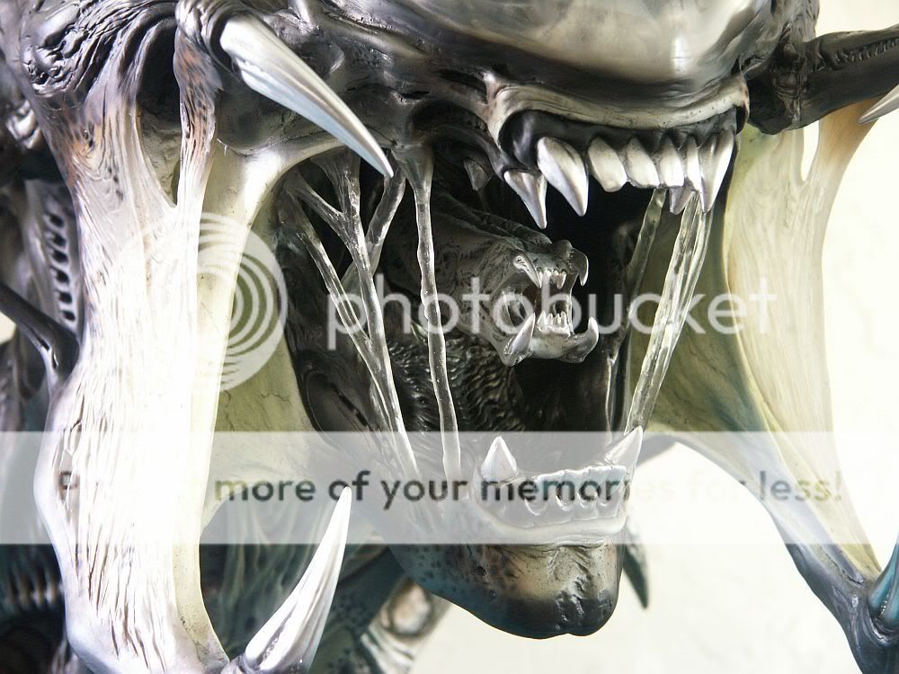 predalien2.jpg