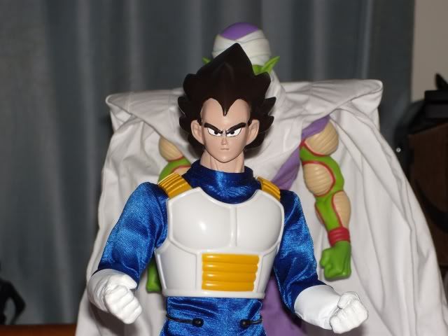 Vegeta8resized.jpg