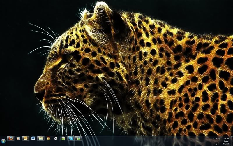 leoparddesktop.jpg