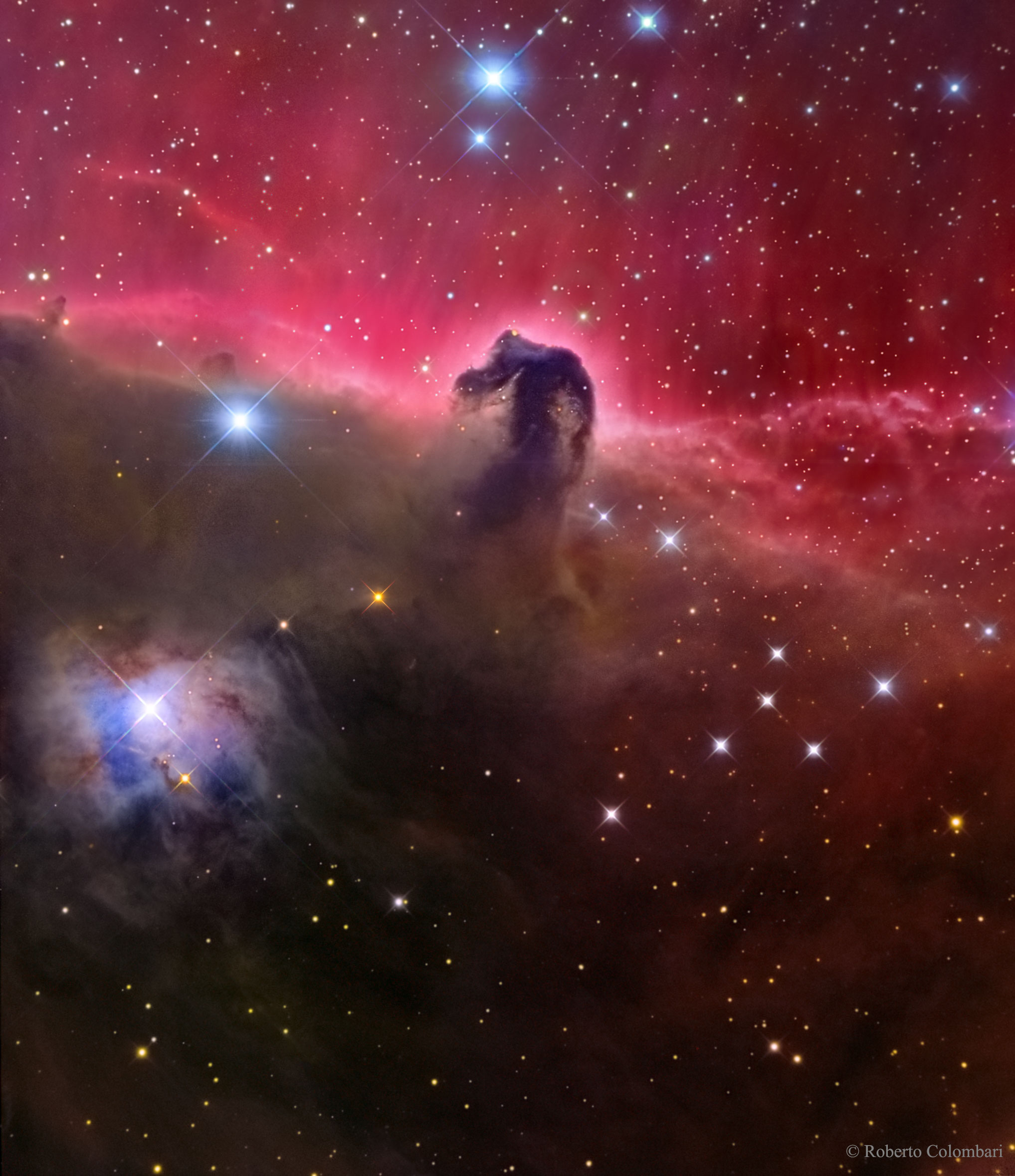 Horsehead_Colombari_2035.jpg