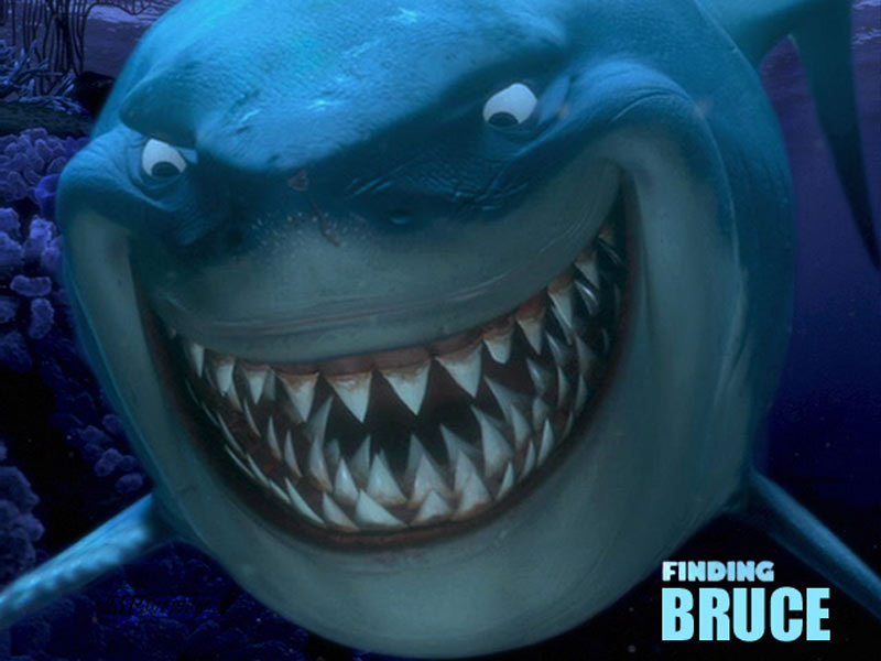 Bruce-shark.jpg