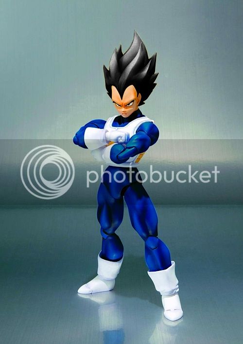 NamekVegeta_zps8a517dd5.jpg