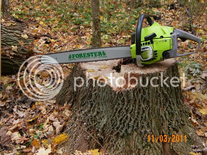 Woodcutting001.jpg