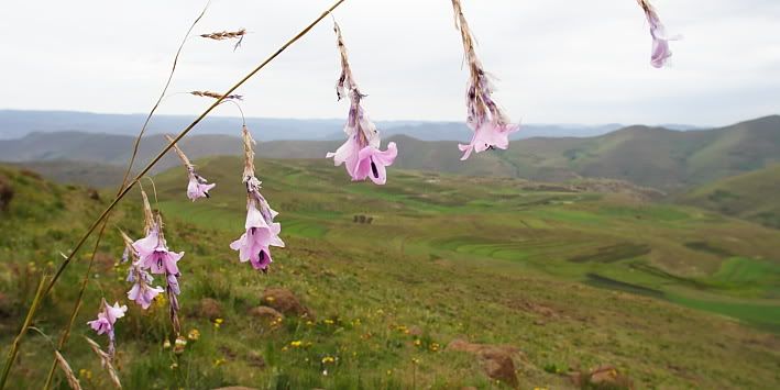 lesotho2010105.jpg