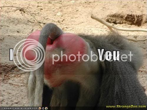 funny-pictures-baboon-butt-heart.jpg