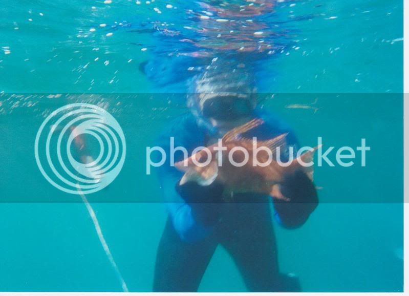 UnderwaterHog.jpg