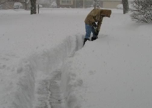 randyshoveling.jpg