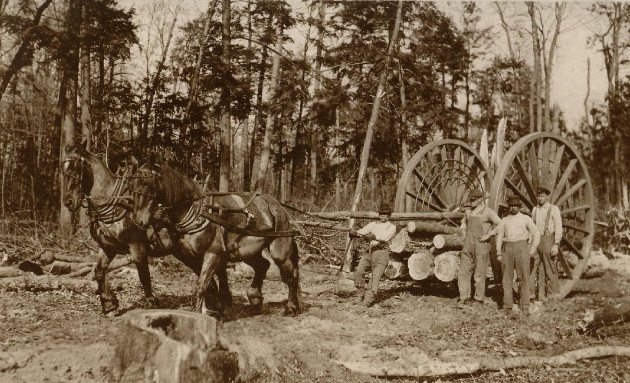 Logging_wheels_1915.jpg