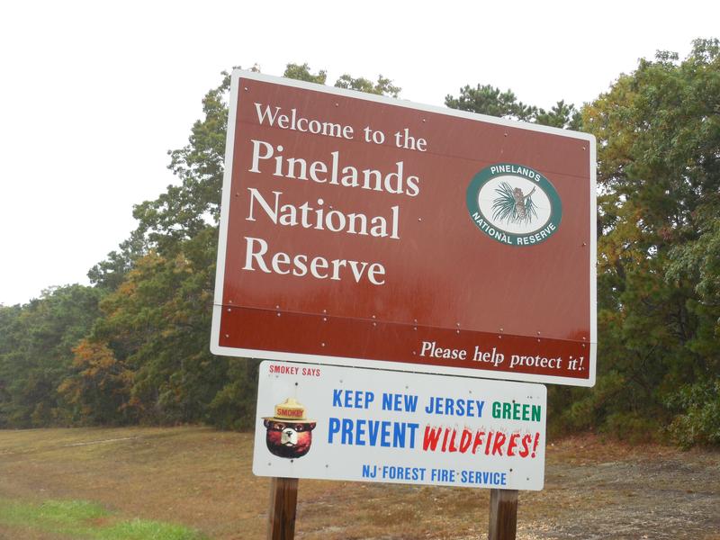 NJ_pinelands.jpg