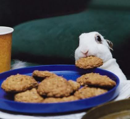 rabbit_cookie.jpg