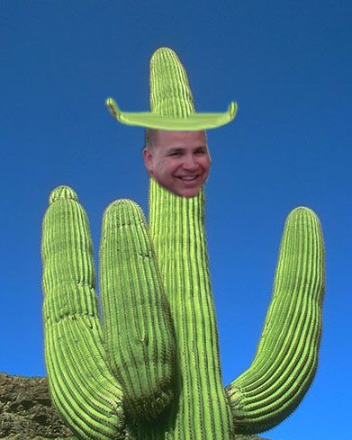 cactusHRZ_zpsd8c69444.jpg