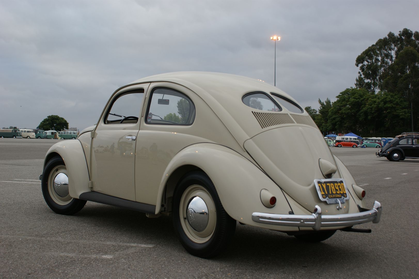 VWclassic2011017.jpg